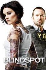 Blindspot season 1